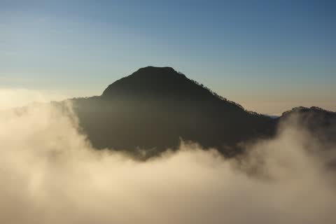 A dark forested peak rising out of a golden sea of clouds in the evening light
