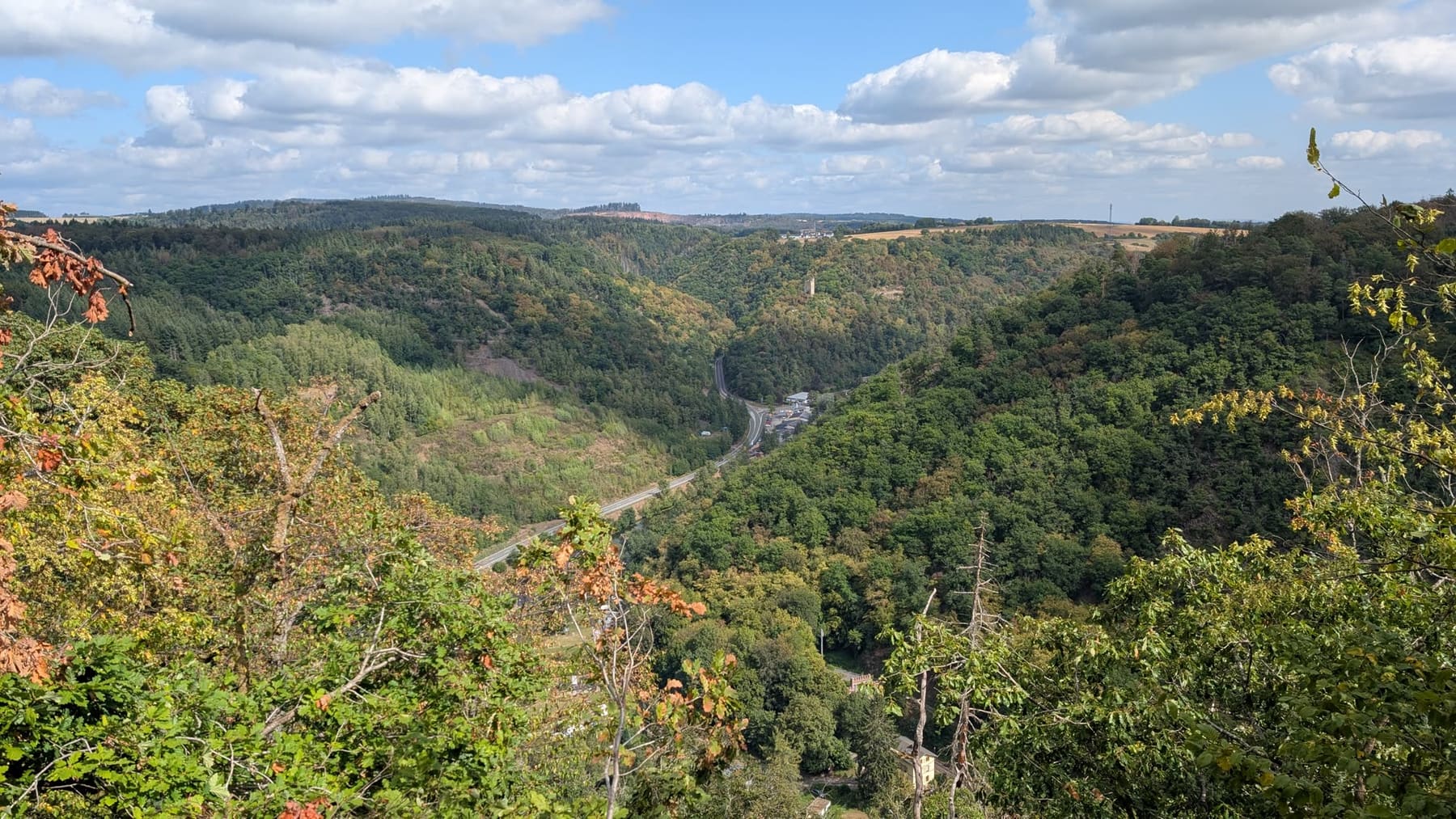 View from the slope into the wooded Lahn valley, with road and village below