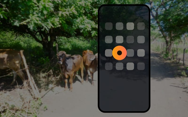A phone home screen with a round record tile among the app icons