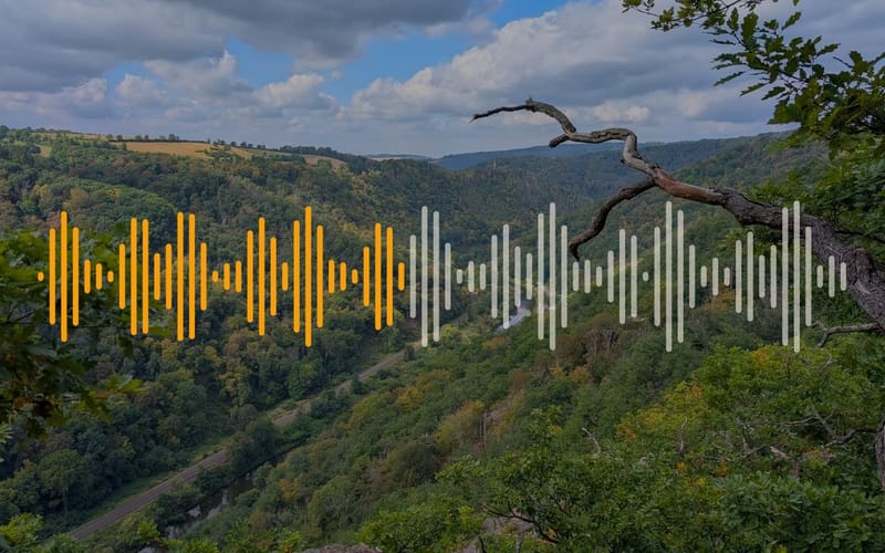 View of a river bend with a sound wave across it