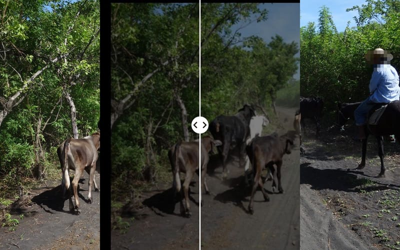 The same picture of a rider twice: shaky on the left, steady on the right