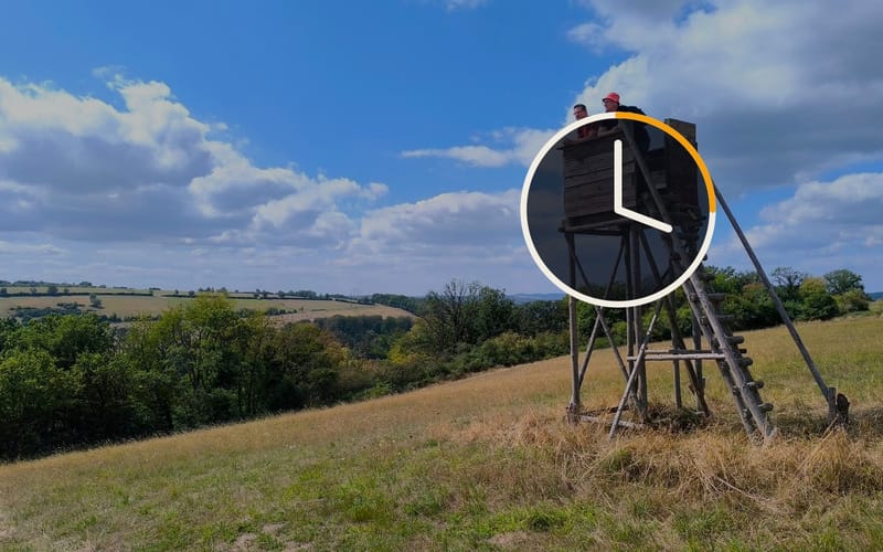 A raised hide at the edge of a forest with a clock whose hands race round