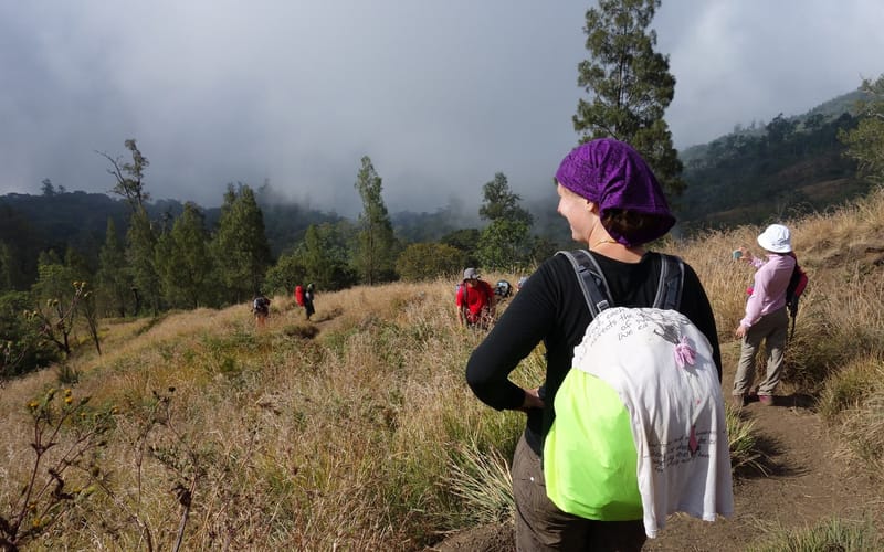 Mist in the forest at the tree line on Rinjani